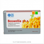 schermata_2019-01-31_alle_11_39_31